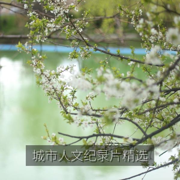 城市人文纪录片精选